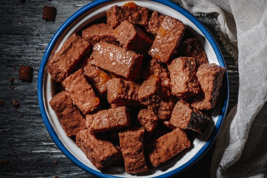 dog food in an enamel plate